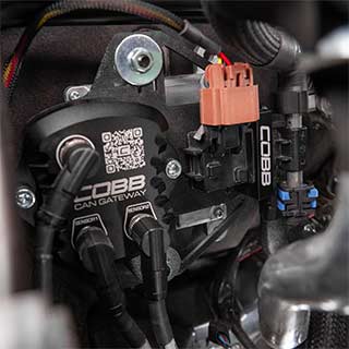 Subaru CAN Flex Fuel Upgrade Ascent, Outback XT/Wilderness, Legacy XT/Sport 2023-2025