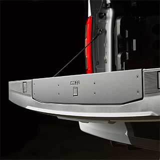 COBB Tailgate Step Cover for Ford F-150 / Raptor 2021+