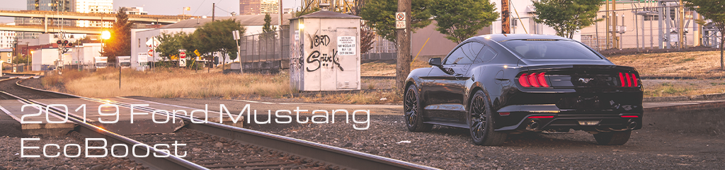 2019 Mustang Blog Section