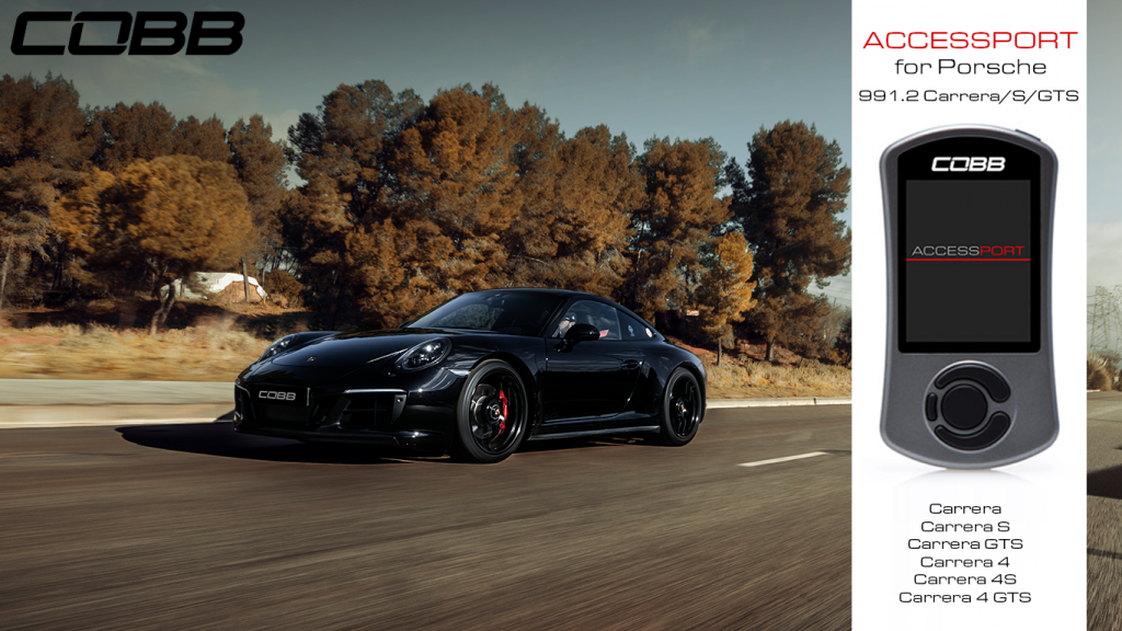 991.2 Carrera_image