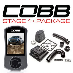 FOR005001P-TCM-RED_main