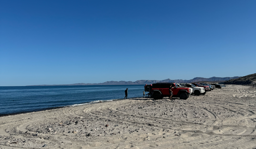 raptor run lunch break at the beach