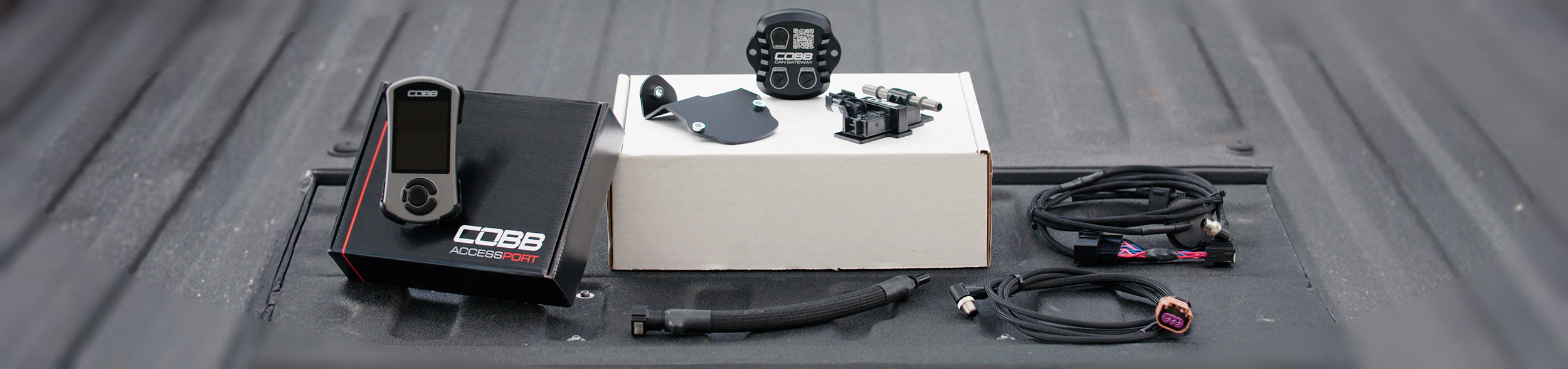 Flex Fuel Upgrade Kit